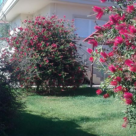 Anna'S Villas By The Sea Preveza Exterior foto