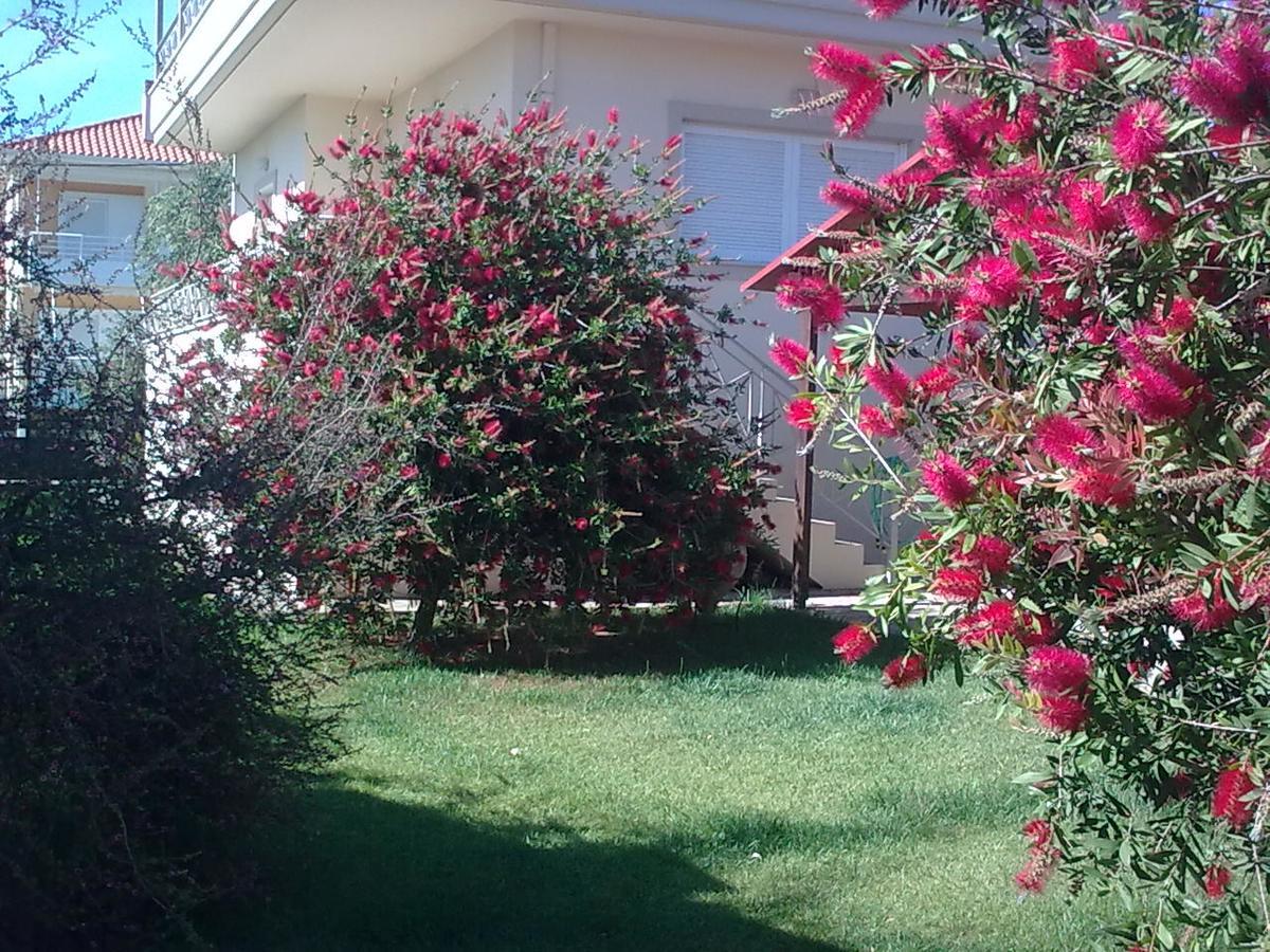 Anna'S Villas By The Sea Preveza Exterior foto